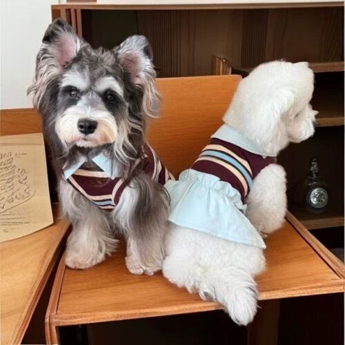 春夏宠物小狗狗衣服条纹背心马尔济斯泰迪约克夏比熊衣服薄款裙子