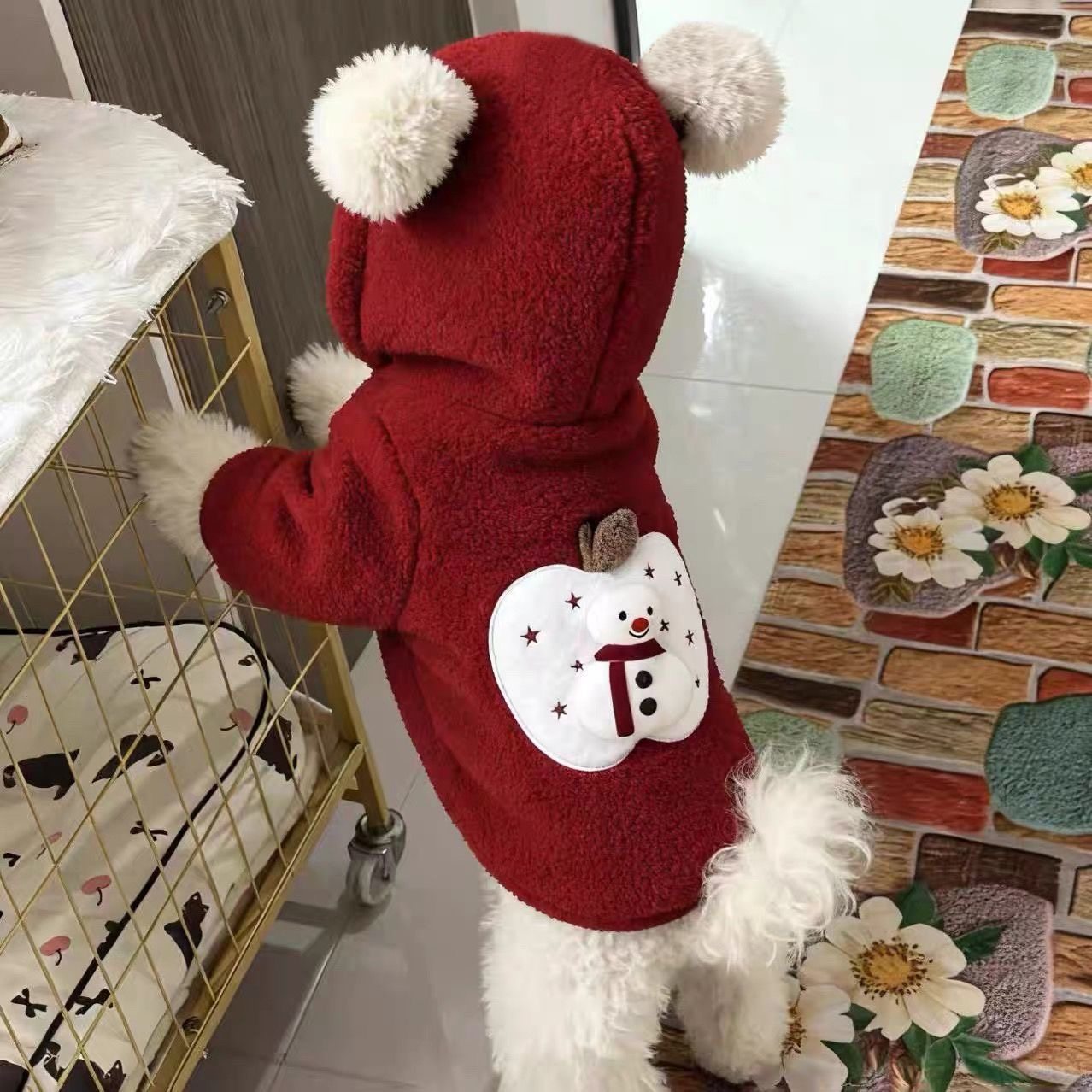 圣诞新年红色宠物衣服保暖秋冬季小狗狗猫咪外套炸街保暖帅气卫衣,宠物/宠物食品及用品,狗宠物服装/雨衣,淘宝优惠券,粉丝福利购,淘宝优惠卷