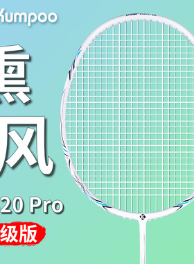 熏风K520羽毛球拍超轻4U全碳素纤维入门单拍 熏风K520pro训练薰风