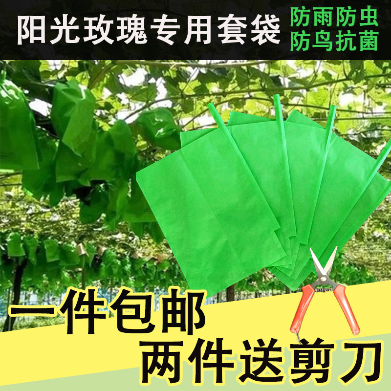 阳光玫瑰专用葡萄袋晴王套袋绿色蓝三色渐变葡萄袋防水防果锈纸袋