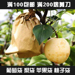 套梨专用袋子双层外黄内黑黄金秋月晚秋梨套袋桃子防水防虫保护袋