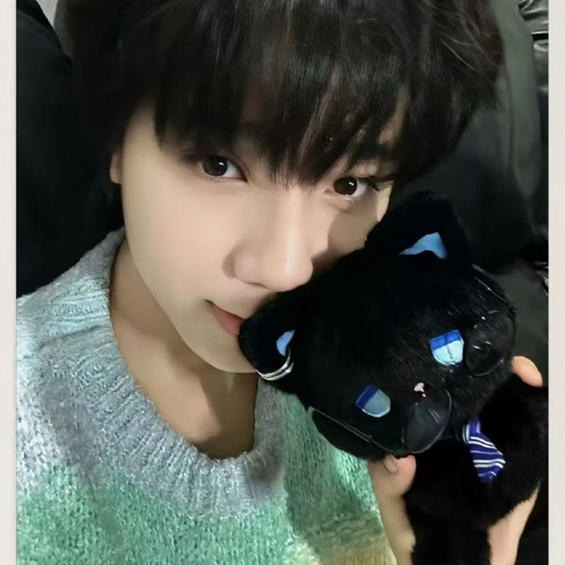 emo猫领带橹穆周边15cm棉花娃娃毛绒玩具蓝色条纹领带王橹杰同款