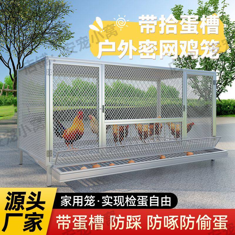 鸡笼子家用农村室外防黄鼠狼大号密网养殖笼自动清粪自动出蛋鸡笼
