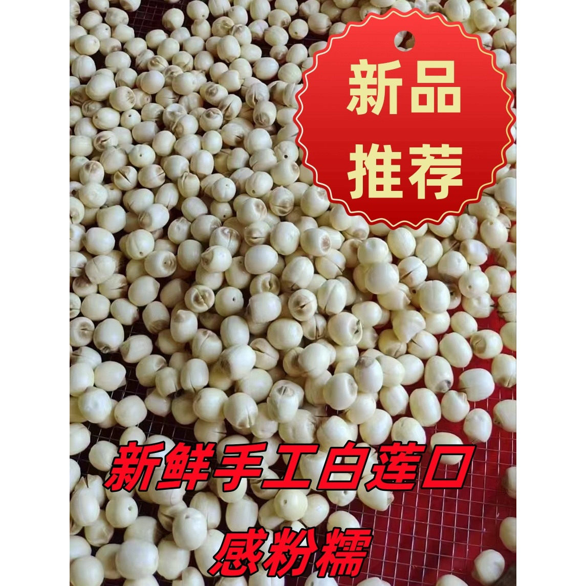 新鲜莲子手工剥壳去皮鲜莲广昌白莲现摘现剥去芯粉糯炖汤新鲜莲子