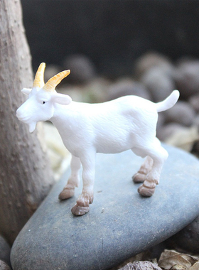 仿真动物模型山羊绵羊实心盘羊大角羊儿童礼物PVC沙盘微景观摆件