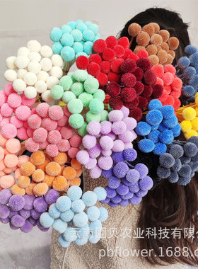 花者永生花礼盒花材 精美永生黄金球保鲜花花材20支/把 现货批发