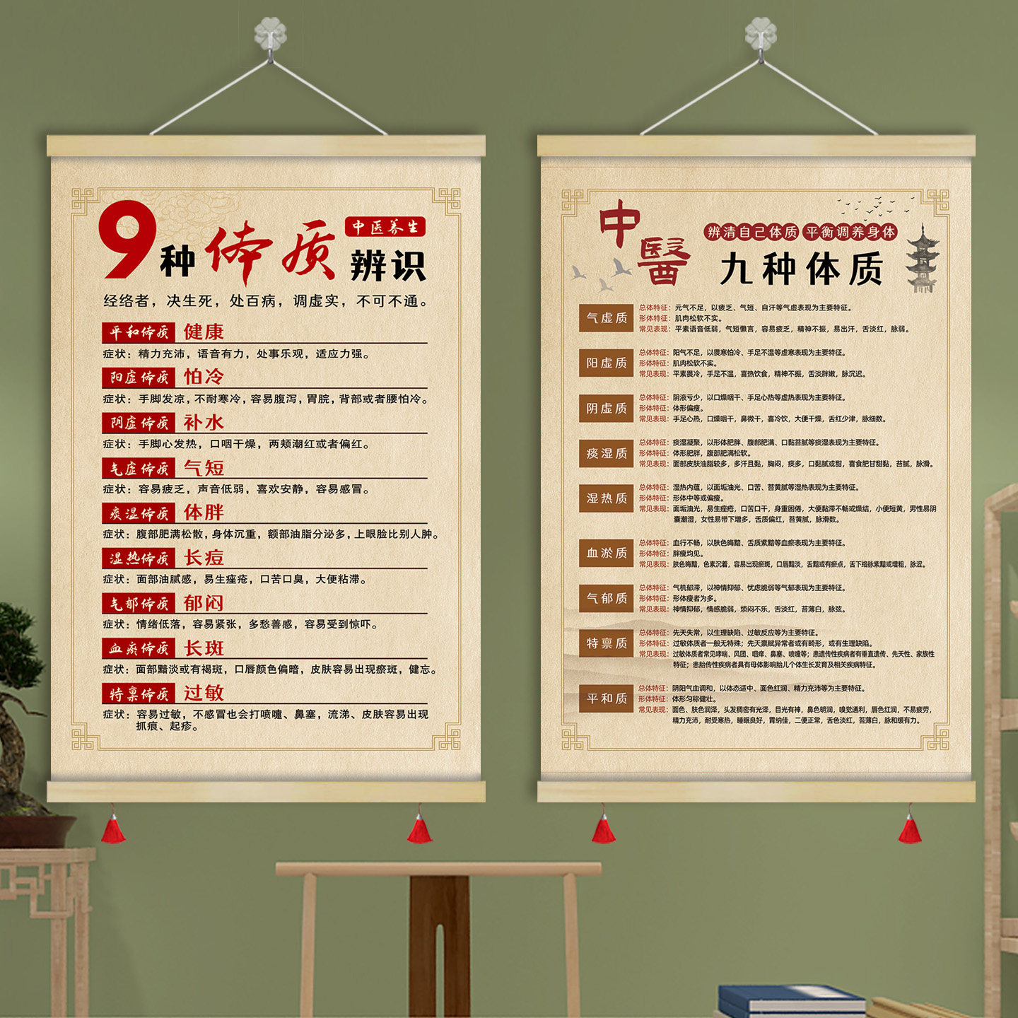 中医九种体质养生辨识调养身体方法挂图舌诊卷轴挂画装饰画GZY29