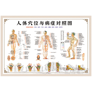 人体穴位与病症对照表示意图中医经穴部位图挂图宣传画贴纸WSA87
