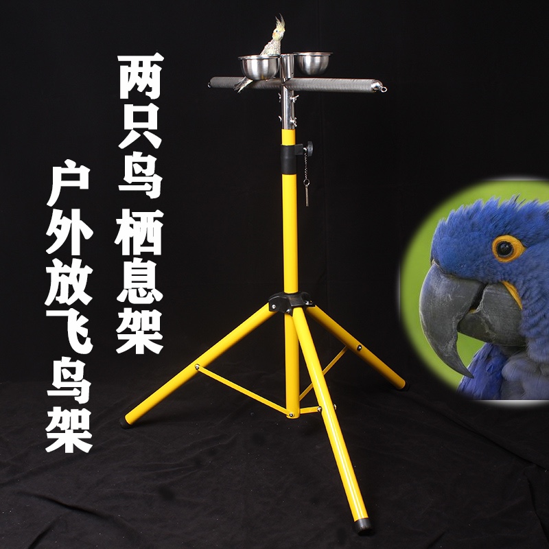 大型鹦鹉便携外出放飞架不锈钢折叠站棍大号伸缩轻便携双鸟用站架