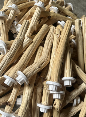 鹦鹉野梨木磨砂磨嘴鸟笼站杆站棍自然树枝玄凤牡丹虎皮站杆可定制