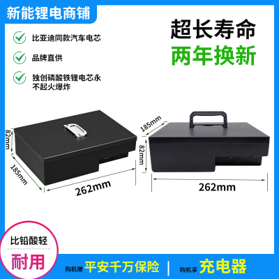 爱玛雅迪电动车锂电池48V12Ah新国标台铃新日绿源自行车专用电瓶