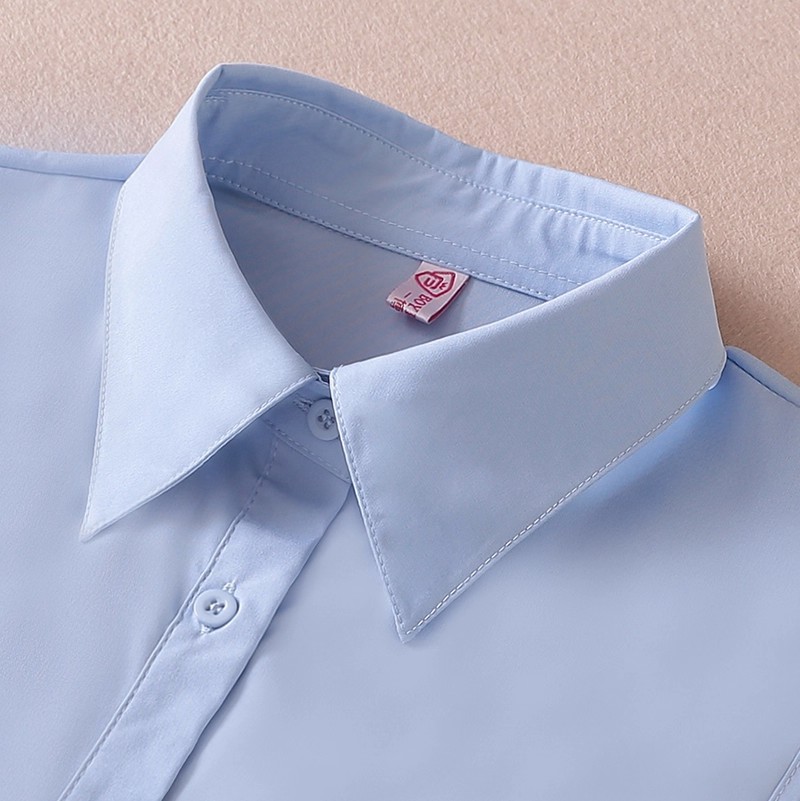 蓝色百搭假领子女假衣领工作装职业装饰领子秋冬季内搭假衬衣领女