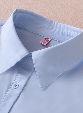 蓝色百搭假领子女假衣领工作装职业装饰领子秋冬季内搭假衬衣领女