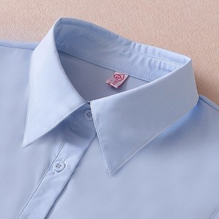 内搭假衬衣领女 饰领子秋冬季 蓝色百搭假领子女假衣领工作装 职业装