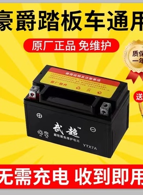 豪爵宇钻悦星UU瑞梦UY豪迈女装125踏板摩托车电瓶12v干电池YTX7A