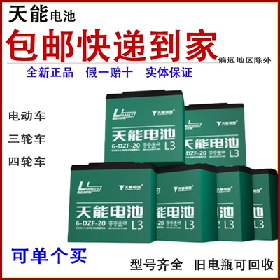 电动车电瓶48V60V免维护