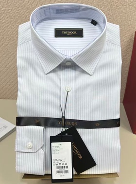 【全棉DP免烫】雅戈尔春季新款男标准长袖浅灰条纹衬衫114781EBA