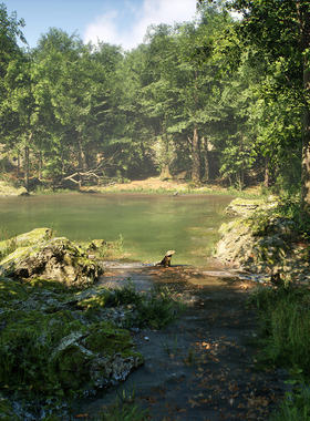 ue5场景阔叶树林生物群落虚幻高品质植物岩石苔藓森林地形素材