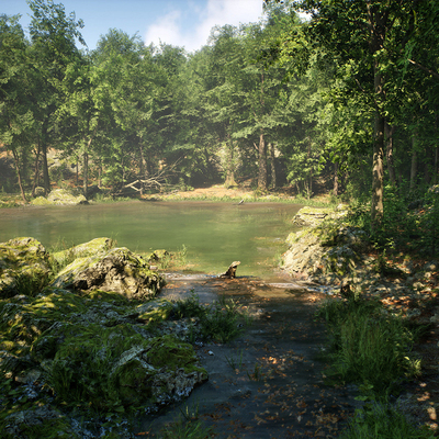 ue5场景阔叶树林生物群落虚幻高品质植物岩石苔藓森林地形素材