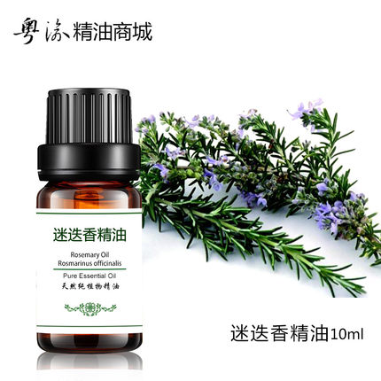 迷迭香精油进口单方正品香薰天然护肤面部脸部头发护发按摩油紧致