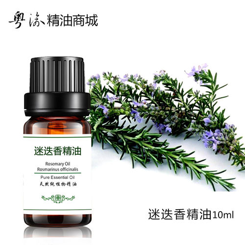 粤渝迷迭香精油生发提神收缩毛孔