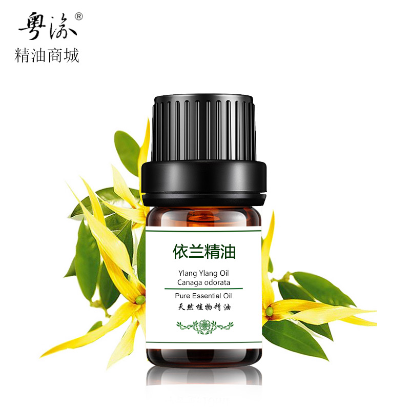 依兰精油单方天然植物提取