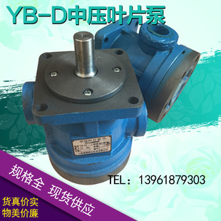 100泵 中压叶片泵YB D6.3