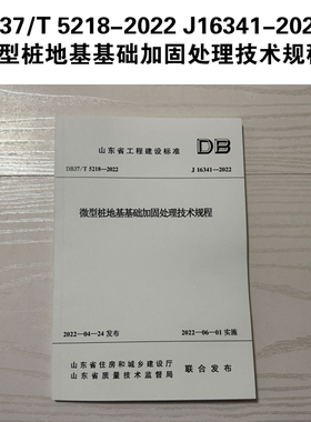 DB37/T 5218-2022 J16341-2022 微型桩地基基础加固处理技术规程