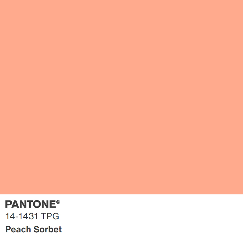 2024新版色彩 14-3610TPG 至 15-3530TPG 大型TPG纸版色卡 TPG单张色卡Pantone潘通服装家居色卡