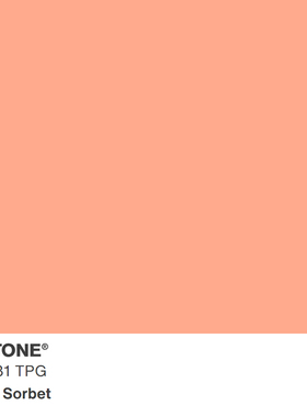 2024新版色彩 14-3610TPG 至 15-3530TPG 大型TPG纸版色卡 TPG单张色卡Pantone潘通服装家居色卡