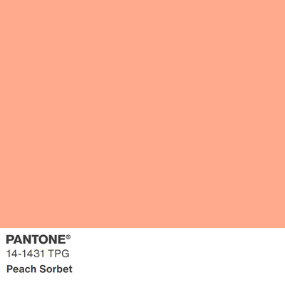 2024新版色彩 14-3610TPG 至 15-3530TPG 大型TPG纸版色卡 TPG单张色卡Pantone潘通服装家居色卡