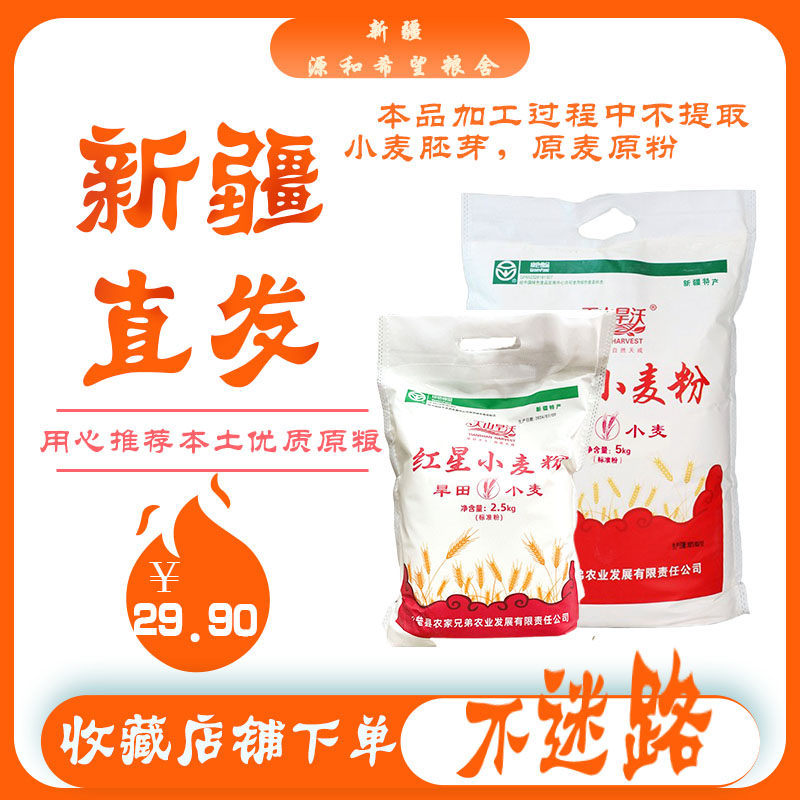 新疆特产天山旱沃红星小麦面粉奇面粉/食用粉