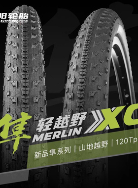 朝阳山地车外胎隼XC越野轻量竞赛120TPI山地车自行车轮胎