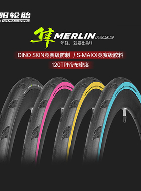 朝阳公路车外胎隼(眼镜蛇PRO升级)700×25/28c自行车竞赛折叠轮胎