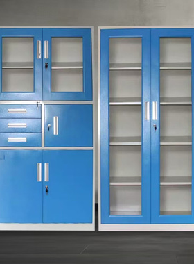 东莞蓝色玻璃文件柜钢制文件柜厂家铁皮办公资料柜带锁惠州文件柜