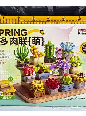 费米盒子多肉积木12种盆栽花束玫瑰花向日葵女孩拼装玩具生日礼物