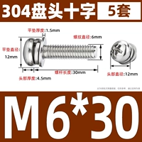 M6*30 (5)