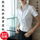 纸样女职业装 圆摆上衣1比1裁剪图纸版 短袖 修身 衬衫 9763杏兰服装