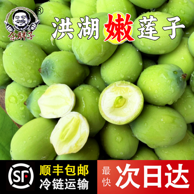 湖北新鲜嫩莲子摘现剥嫩莲蓬