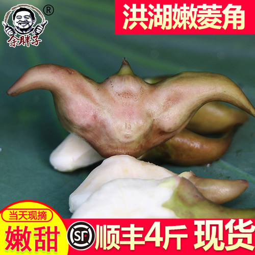 新鲜嫩甜当季现摘顺丰速运
