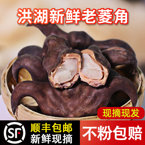新鲜现摘顺丰包邮老菱角洪湖