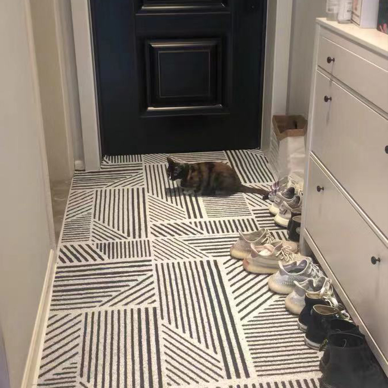 北欧丝圈入户门地垫玄关进门家用地毯门垫门口脚垫防滑耐磨可裁剪