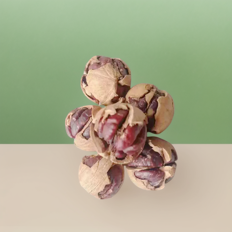 25新货原香原味熟带壳临安手剥小山核桃罐装不水煮未漂白不去色