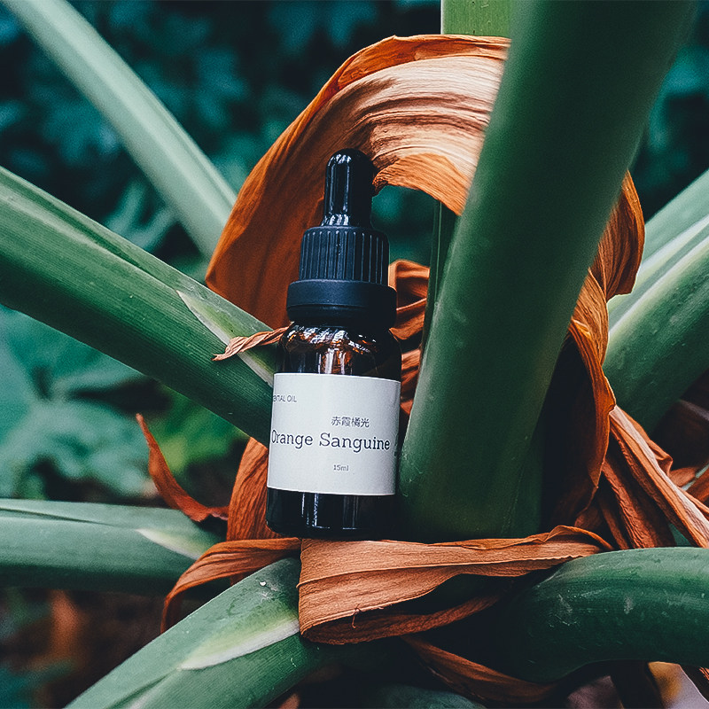 TF乌木沉香孤儿怨柏林少女室内