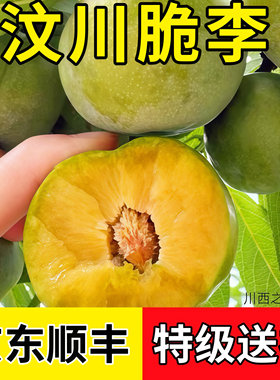 京东冷链四川青脆李李子汶川红脆李青红脆李脱骨李江安李李大甜硬