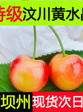阿坝州车厘子汶川大樱桃黄蜜樱桃