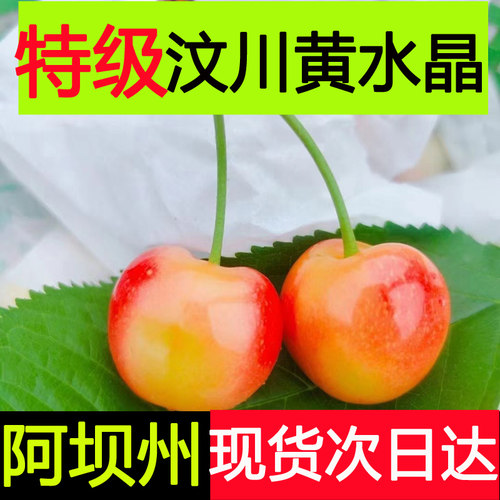 阿坝州车厘子汶川大樱桃黄蜜樱桃