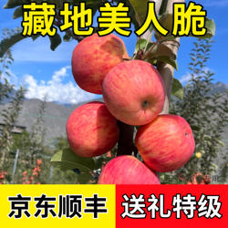 阿坝州秦脆苹果丹巴美人脆茂县糖心汶川理县九寨小金甘孜泸定康定