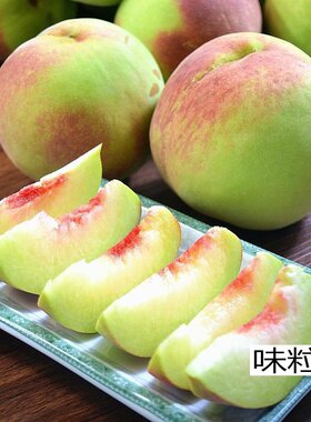 四川白花桃脆甜毛桃子水蜜桃脆桃现摘百花桃老品种5斤10斤非贵州
