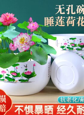 睡莲荷花盆大号树脂仿陶瓷